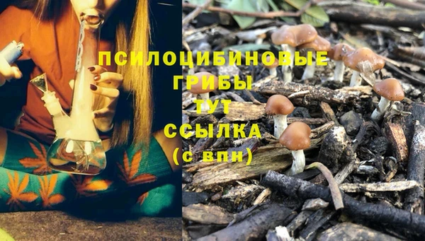 тгк Кодинск