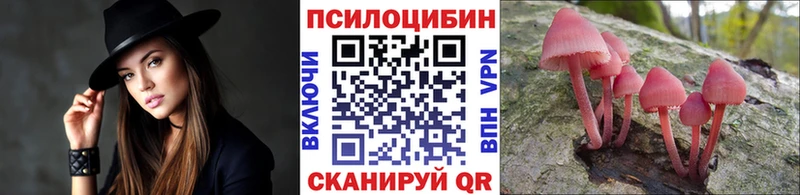 Галлюциногенные грибы Cubensis  где можно купить наркотик  Инсар 